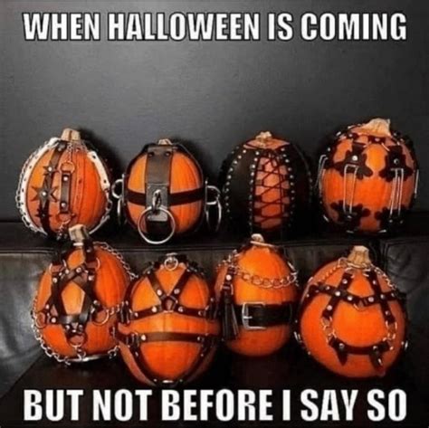 kinky halloween memes|50 of the funniest Halloween memes, 2024 edition